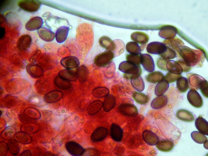 Sopra i 2000 m s.l.m. con l''amico Ennio